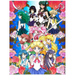 Sailor Moon And More