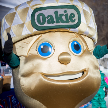 Destructible Building Battles