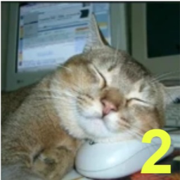 Play it if you're bored゘ 2