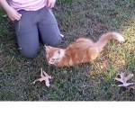 LOVE CATS!!!