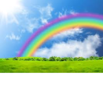 rainbow shine group