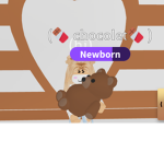 chocolate the bear sqaud