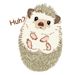 Hedgehogz : store and group