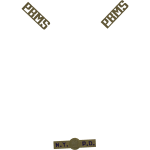 PBMS Tie Brass