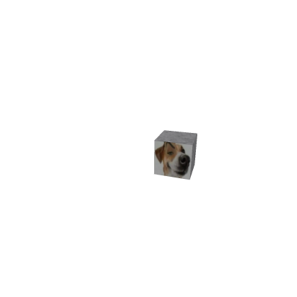 sus dog