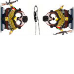 T.W.O.S High Ranks