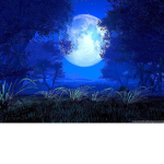 Moonlight Hotel <3