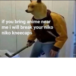 THE TRUE DOGE SQUAD