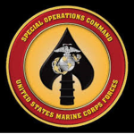 Marine raiders joint combat operations