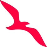Air Arabia - Abu Dhabi