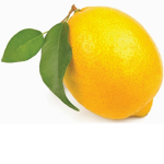 Official Juice Team
