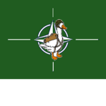 The Coalition of Ducks