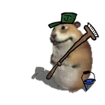 Janitor Chomik