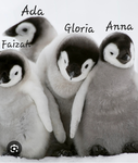 The best penguin group of all