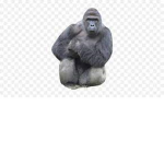 Harambe Community