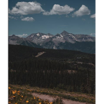 R a n d o m lol