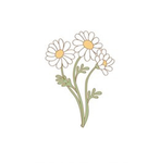Daisy'ss