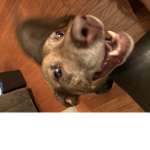 Hiiyyyy