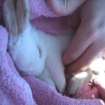 meeeoww