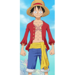 luffy gang!!!