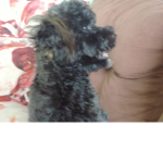 Valenciañ d t v ggxfzfhzgdzgdhhfzjzdgffjhcfjy x ft