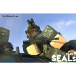 [U.S.] Navy SEALs.