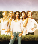 Fairviews Wisteria Lane