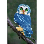 #TEAM OWL!!