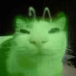 T0T4LLYX Group Thumbnail