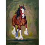 Summershine riding academy