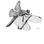 Esmiefly