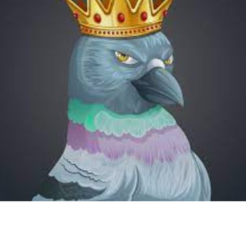 find the pigeons X (UPDATE!)