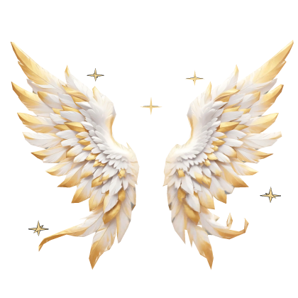 golden radiant star wing Roblox item