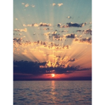 ~SUNSET LAND~