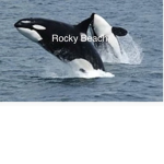 |Rocky Beach|