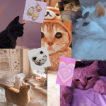 CHATONS AESTHETIC
