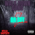 WDG{walk down gang}