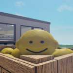 True Lemoners
