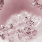 ୨୧ ⋆ blissed heart ⋆ ୨୧