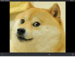 The Doge army beta
