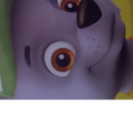I am dogs