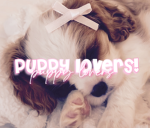 *+*puppy lovers*+*