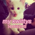 my kwittys