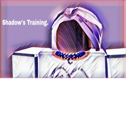 Shadows Runway Training