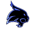 <>LMU Wildcats<>