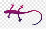 Gecko Production