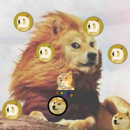Doge RUN!