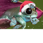 Aesthetic Froggos