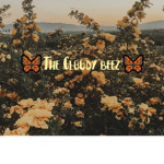 The Cloudy Beez