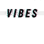 V.I.P. V.I.B.E.S
